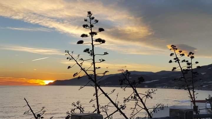 Vistas Al Mar Mediterraneo Melicena Dış mekan fotoğraf