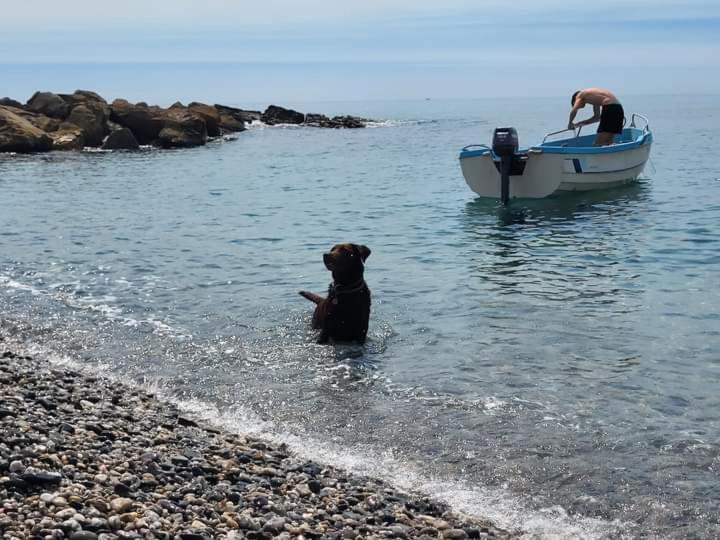 Vistas Al Mar Mediterraneo Melicena Dış mekan fotoğraf